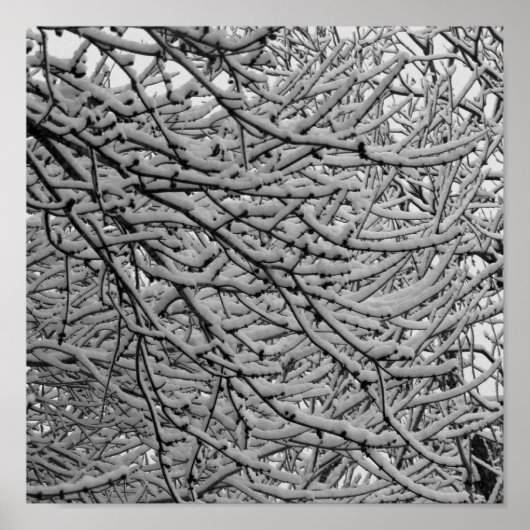 Shonthport Snowfall Poster (Voorkant)