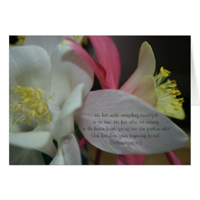 Shooting Star - Coumbine Bloom Ecclesiastes 3:11 (Voorkant Horizontaal)