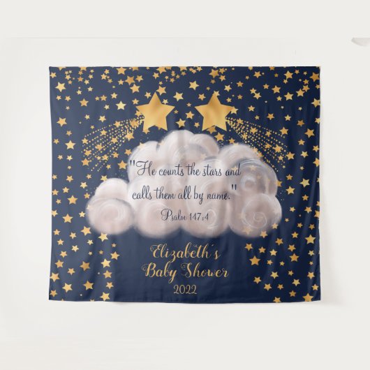 Shooting Star Twin Baby Shower Achtergrond Wandkleed (Voorkant (horizontaal))