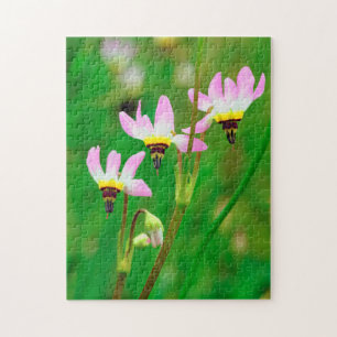 Shooting Star-wildebloemen in Mission Trails Park Legpuzzel