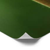 Shooting star wildflower, Californië, Verenigde St Poster (Hoek)