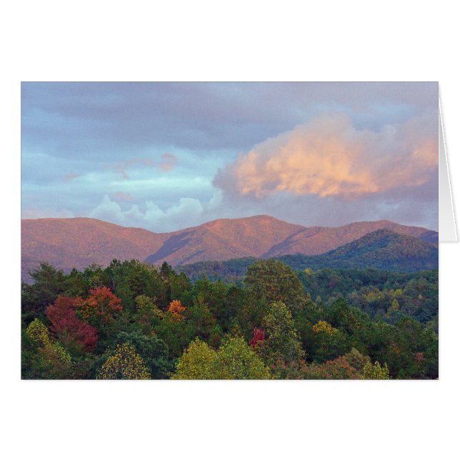 Shootkreek (Voorkant Horizontaal)