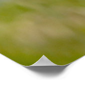 Shootster Poster (Hoek)