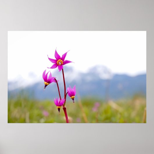 Shootster Poster (Voorkant)