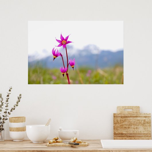 Shootster Poster (Keuken)