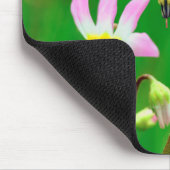 Shootster Wildbloemen in Mission Trails Park Muismat (Hoek)