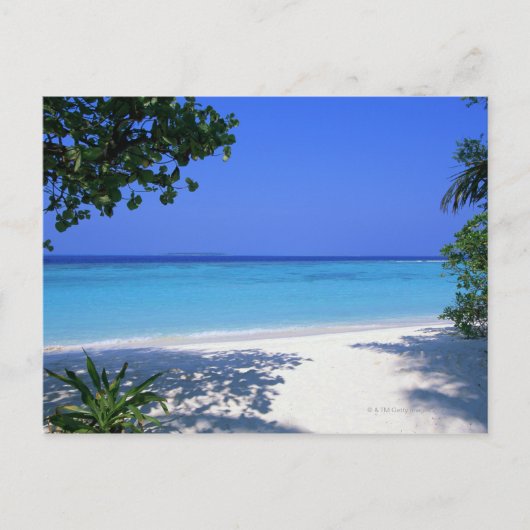 Shore 13 briefkaart (Voorkant)