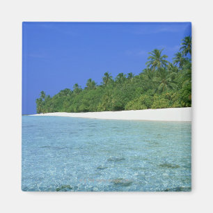 Shore 14 magneet