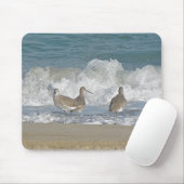 Shore Bird Trio Mousepad Muismat (Met muis)