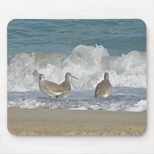 Shore Bird Trio Mousepad Muismat (Voorkant)