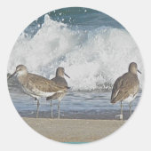 Shore Bird Trio Stickers (Voorkant)