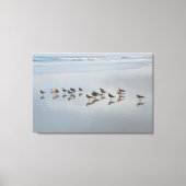 Shore Birds Canvas Afdruk (Voorkant)