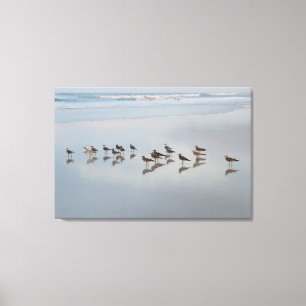 Shore Birds Canvas Afdruk