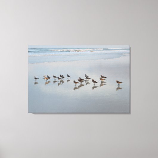Shore Birds Canvas Afdruk (Voorkant)