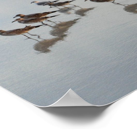 Shore Birds Poster (Hoek)