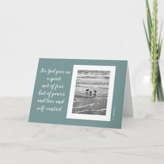 Shore birds, Schrift vers uit Timothy (blanco) Kaart (Voorkant)