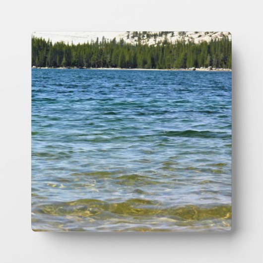 Shore of Tenaya Lake, Yosemite, CA Fotoplaat (Voorkant)