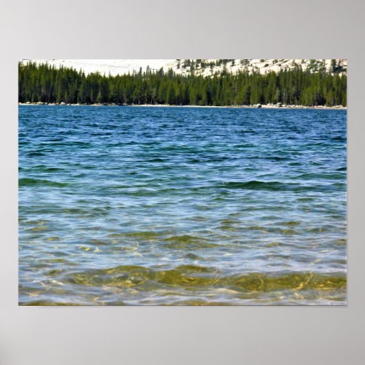 Shore of Tenaya Lake, Yosemite, CA Poster (Voorkant)