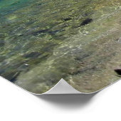 Shore of Tenaya Lake, Yosemite, CA Poster (Hoek)