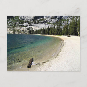 Shore of Tenaya Lake, Yosemite, Californië Briefkaart