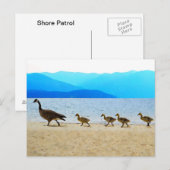 Shore Patrol Canada Gese Briefkaart (Voorkant / Achterkant)