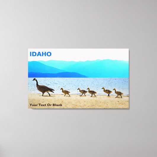 Shore Patrol - Canada Gese Canvas Afdruk (Voorkant)