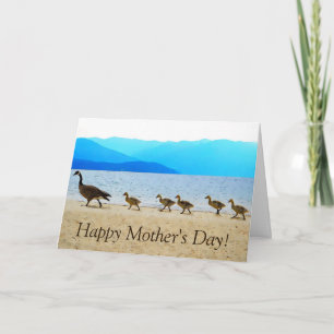 Shore Patrol Canada Gese Kaart