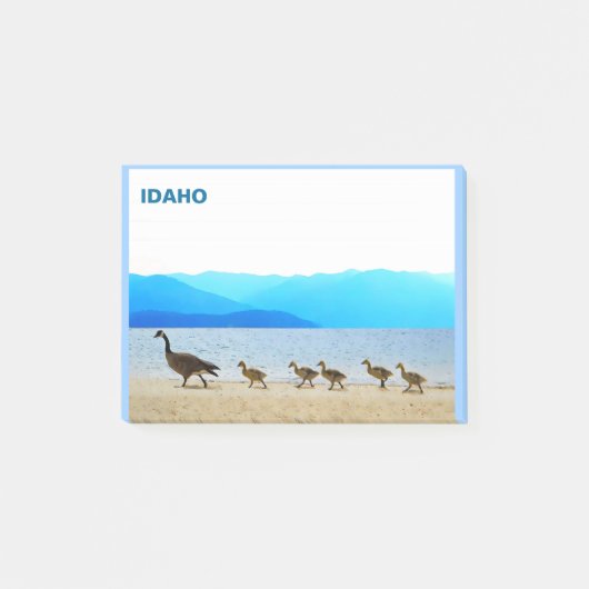 Shore Patrol - Canada Gese Post-it® Notes (Voorkant)