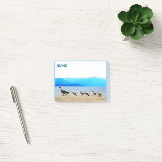 Shore Patrol - Canada Gese Post-it® Notes (Kantoor)