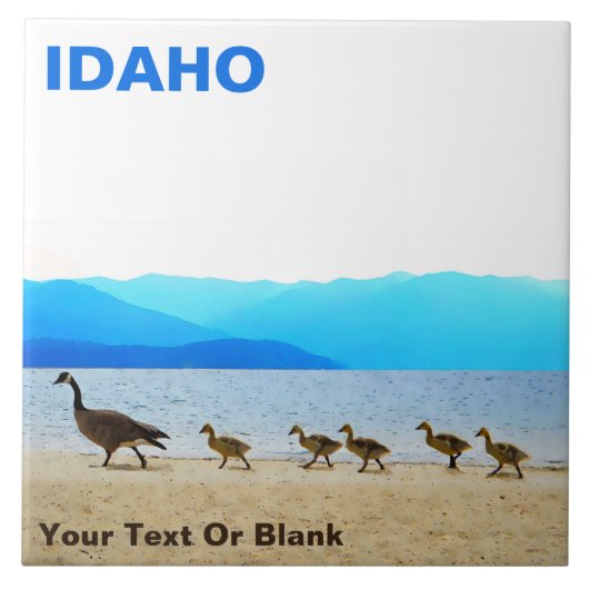 Shore Patrol - Canada Gese Tegeltje (Voorkant)