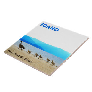 Shore Patrol - Canada Gese Tegeltje