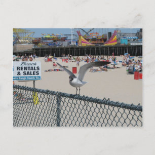 Shore Thding Briefkaart