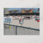 Shore Thding Briefkaart (Voorkant)