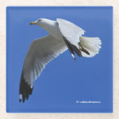 Shorebird in de vlucht met ringbuik glazen onderzetter (Voorkant)