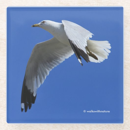 Shorebird in de vlucht met ringbuik glazen onderzetter (Voorkant)
