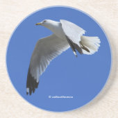 Shorebird in de vlucht met ringbuik zandsteen onderzetter (Voorkant)