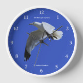 Shorebird met adembenemende ringloop in vlucht (Voorkant)