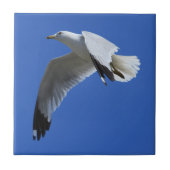 Shorebird met adembenemende ringloop in vlucht tegeltje (Voorkant)