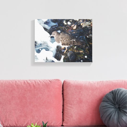 Shorebird van de verbluffende zwarte traansteen in canvas afdruk (Insitu (Woonkamer))