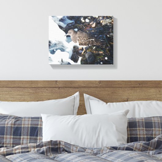 Shorebird van de verbluffende zwarte traansteen in canvas afdruk (Insitu (Slaapkamer))