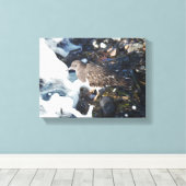 Shorebird van de verbluffende zwarte traansteen in canvas afdruk (Insitu (Houten vloer))