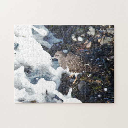 Shorebird van de verbluffende zwarte traansteen in legpuzzel (Horizontaal)