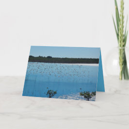 Shorebirds op het Wenskaart van de Vleugel Kaart