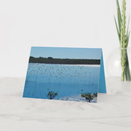 Shorebirds op het Wenskaart van de Vleugel Kaart
