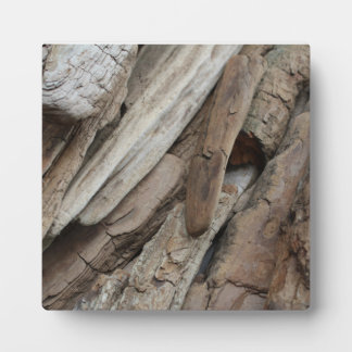 Shoreline Driftwood Foto Fotoplaat
