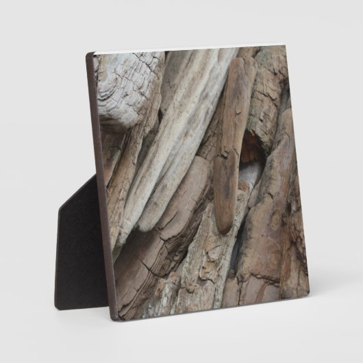 Shoreline Driftwood Foto Fotoplaat (Voorkant)