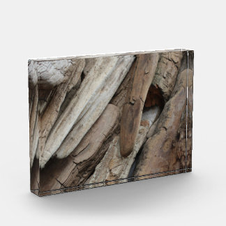 Shoreline Driftwood Fotoblokken