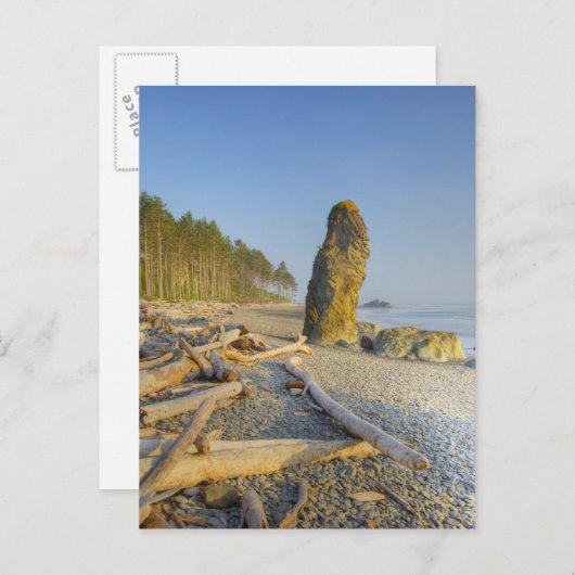 Shoreline en Seastacks, Ruby Beach, Olympic Briefkaart (Voorkant / Achterkant)