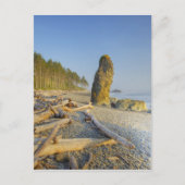 Shoreline en Seastacks, Ruby Beach, Olympic Briefkaart (Voorkant)