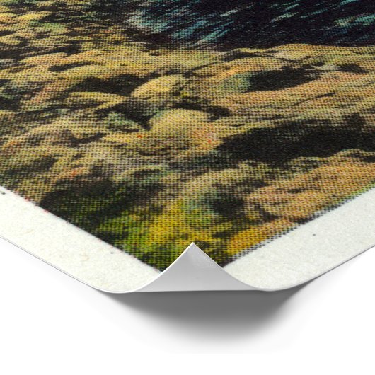 Shoreline, Pavilion en zwemmers Poster (Hoek)